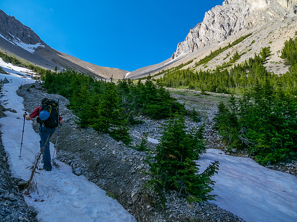 Approaching tree line as we head for the Pig's Tail / Commonwealth col.