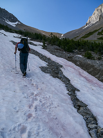 Using thin lines of snow helped us immensely on the lower part of the scramble.