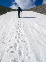 Keith kicks steps up to the Pig's Tail / Commonwealth col.