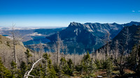 Too bad the larches have lost all their needles. Vimy in the bg.