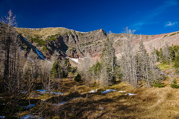 In the lovely larch bowl under the summit of Bertha Peak.