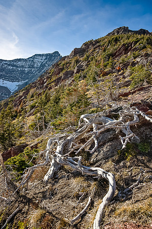 Wietse descends the slightly complicated ridge to our ascent route on Bertha Peak.