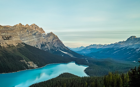 Gorgeous Peyto Lake in early morning lighting.