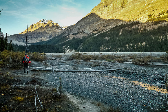 Hiking along Peyto Lake
