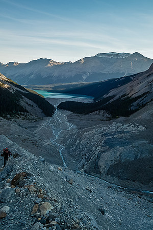 Looking back down the moraine to Peyto Lake.