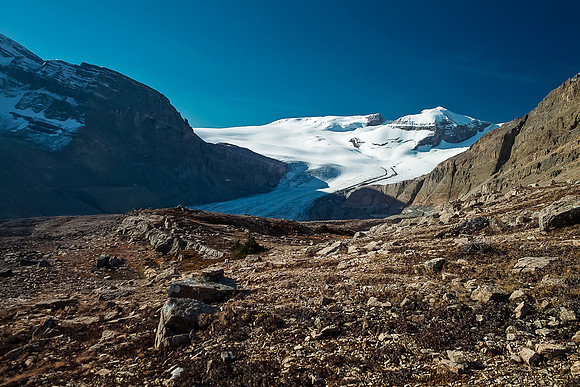 Gazing across the Wapta Icefield at Rhondda (L) and Habel (R).