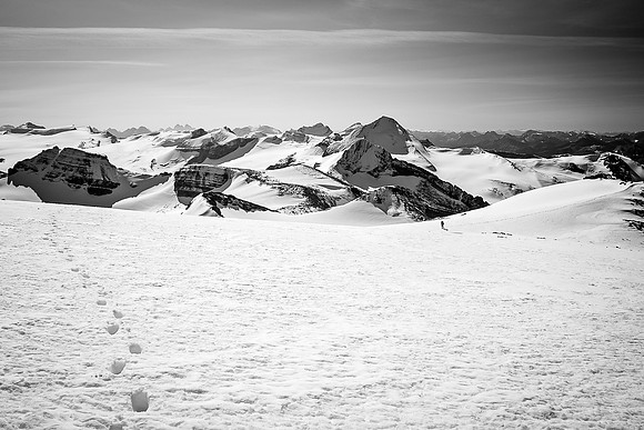Raf comes up to the summit behind me in this view towards the Wapta Icefield including Peyto, Trapper and Baker. Balfour in the distance.