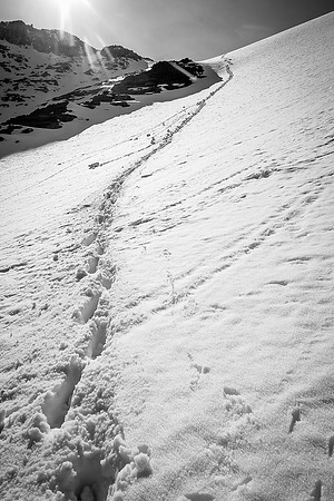 Looking back at our tracks in the gully.