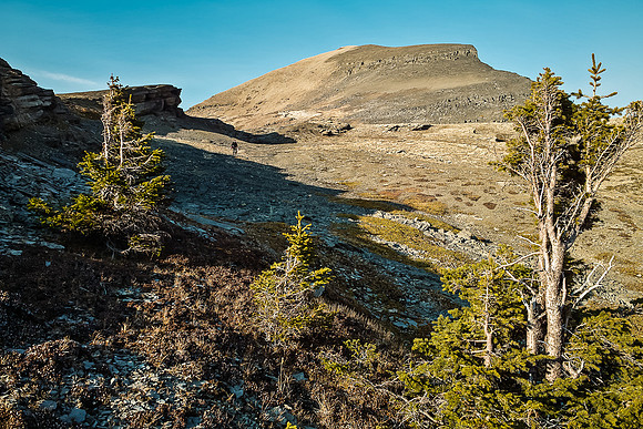 Very few trees manage to survive near Caldron Lake - it's simply too high.
