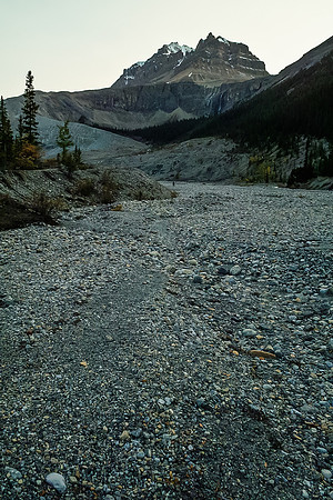 Exiting gravel flats to Peyto Lake.