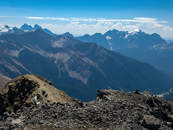 Mount Owen on the extreme left with the Goodsir Towers and Chancellor Peak between it and Vaux on the far right.