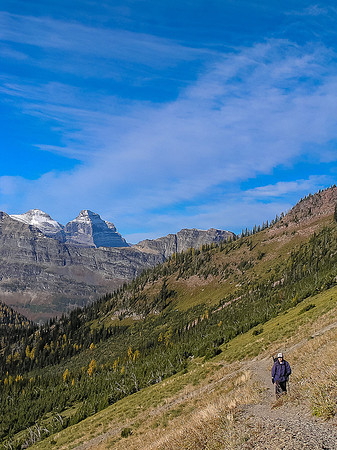 Sonny hikes up the Carthew Summit trail.