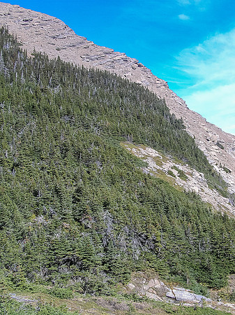 The skyline ridge to Buchanan Peak from the Alderson trail near the waterfall.