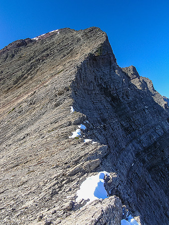 The route up to Buchanan Ridge as seen from Buchanan Peak. We basically stuck to the ridge as much as we could