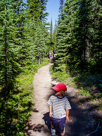 The approach trail to Helen Lake is pretty easy.