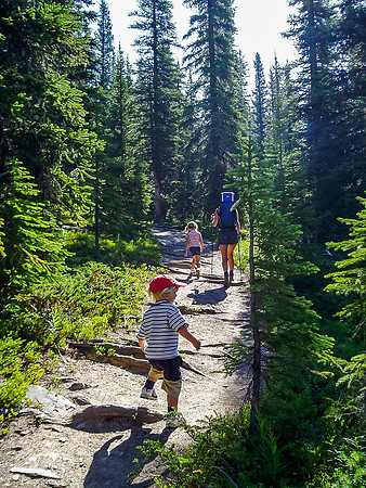 Niko bounding up the trail, trying to catch his mom and sister. Let's see how long this lasts. :)