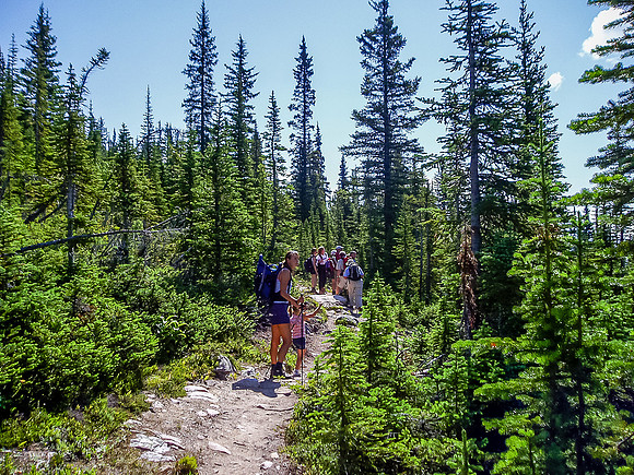 The approach trail to Helen Lake is pretty easy.