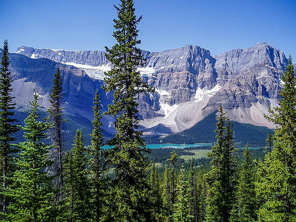Looking back across the parkway to Crowfoot Mountain.