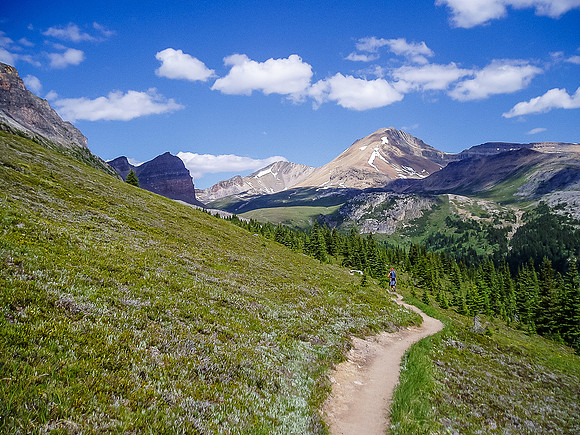 This is the upper meadow when you're still about 2km from the mountain, about 1.5 from Helen Lake.