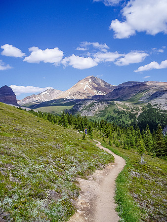 This is the upper meadow when you're still about 2km from the mountain, about 1.5 from Helen Lake.