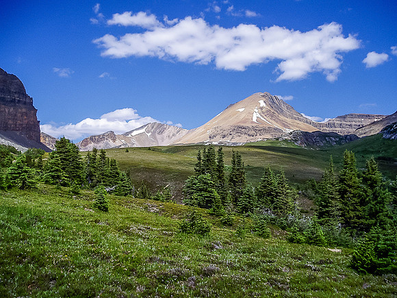 The upper meadow as you get even closer to Helen Lake, Cirque in the background. This is where you could spot a grizzly.