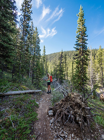 The trail is well-defined and passes through some blow down areas.