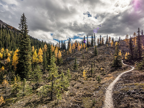 The clouds are starting to lift as the trail winds it's way towards Og Lake.
