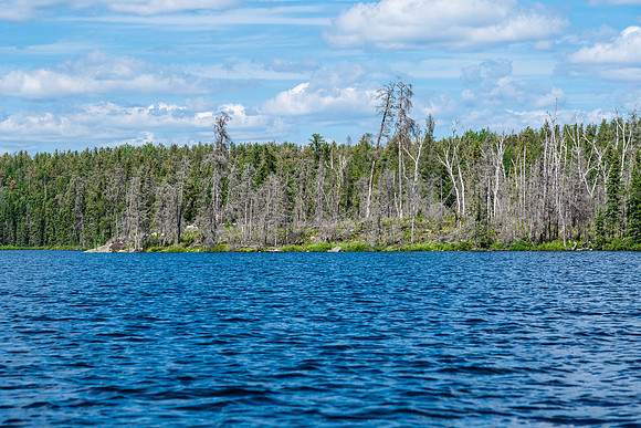 Paddling Hatchet Lake.