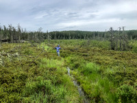 Portaging from Crystal Lake towards Indian House Lake.