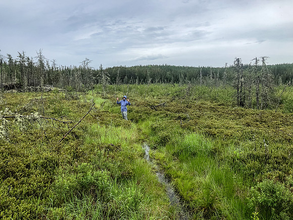 Portaging from Crystal Lake towards Indian House Lake.