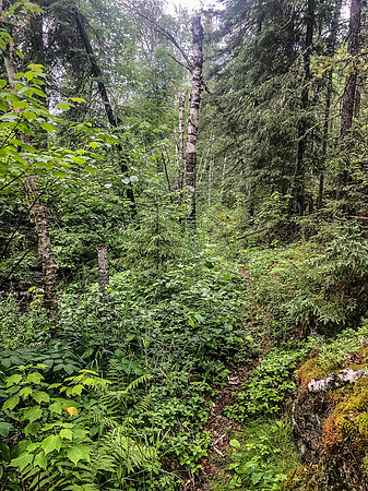 Portaging towards Indian House Lake from Crystal.