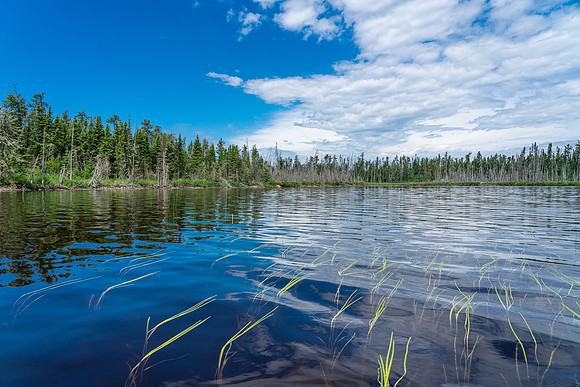 A small lake before Indian House Lake.