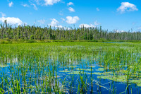 Paddling the weedy creek leading into Indian House Lake from Crystal Lake.