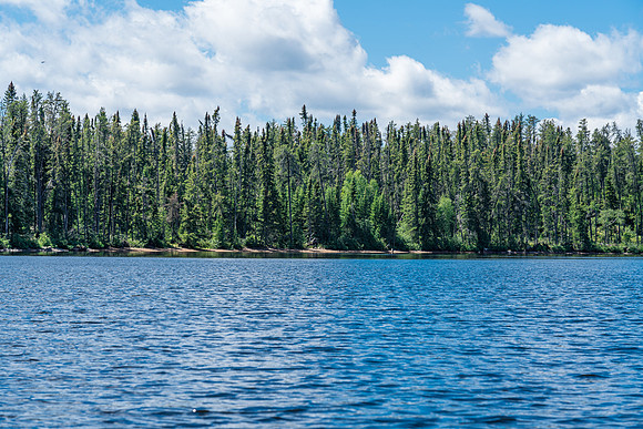 The 975m portage between Indian House Lake and North Prairie Lake starts at this beach.