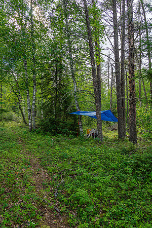 Our camp at the start of the 975m portage towards North Prairie Lake.
