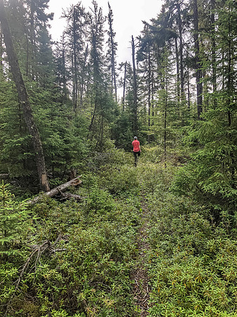 On the 975m portage between Indian House and North Prairie.