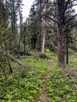 There is a trail if you look hard enough.
