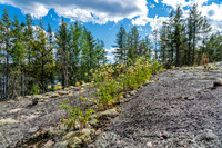 Canadian Shield landscape.