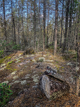 On the 800m portage between Prairie and Joey Lake.