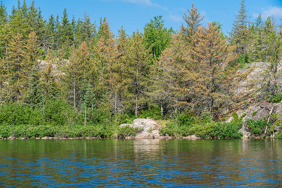 Spot the cairn marking a portage?