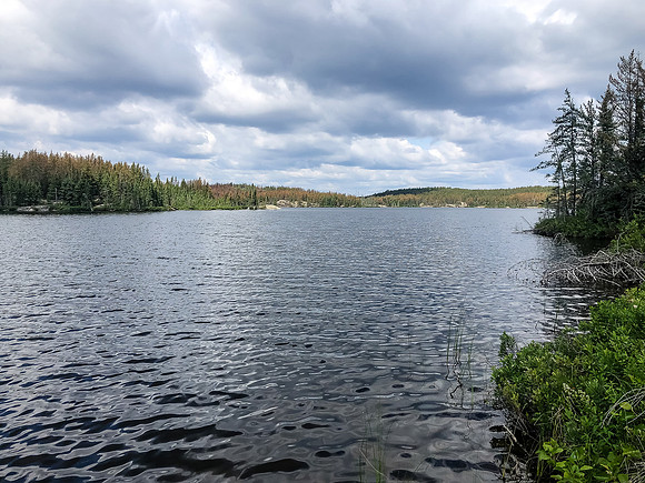 Gorgeous Joey Lake.