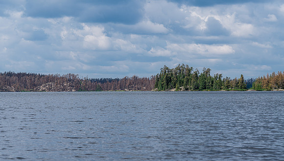Lightning Lake has some recently burnt shorelines.
