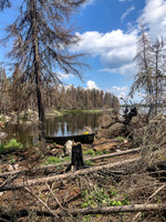 The portages west of Lightning Lake are burnt and somewhat unpleasant.