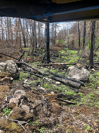 The portages west of Lightning Lake are burnt and somewhat unpleasant.