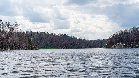A small, burned lake along Royd Creek.
