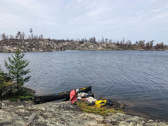Burned shoreline from our lunch spot on Royd Lake.