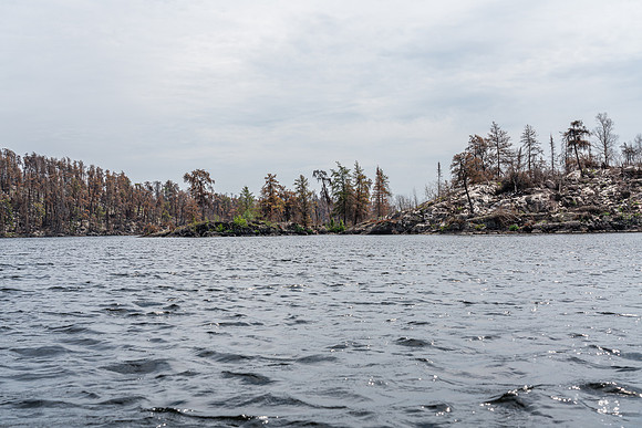 Paddling the west arm near the northern end of Royd towards Kennedy Lake.