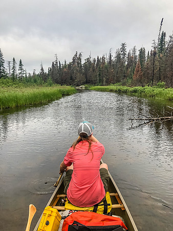 Canoeing along Royd Creek between Kennedy and Donald lakes.