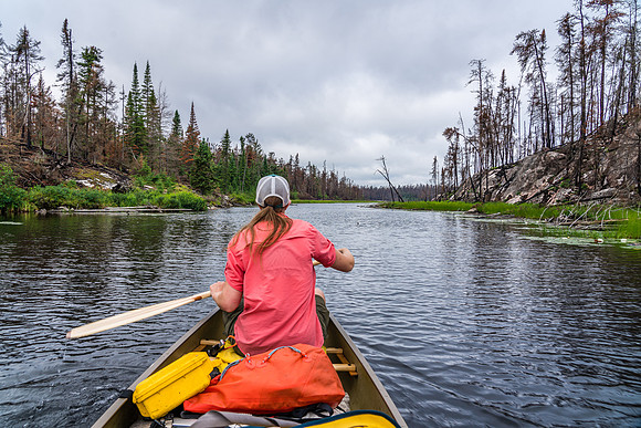 Canoeing along Royd Creek between Kennedy and Donald lakes.