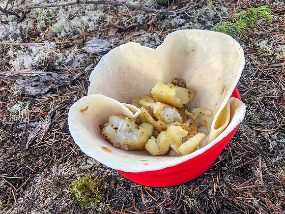 Walleye supper.